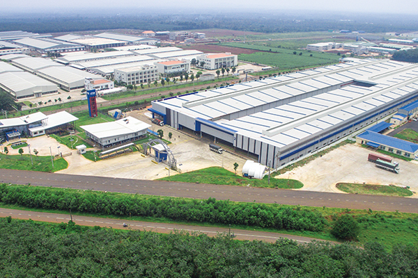 Xiamen Camomilla Sogni Co.,Ltd