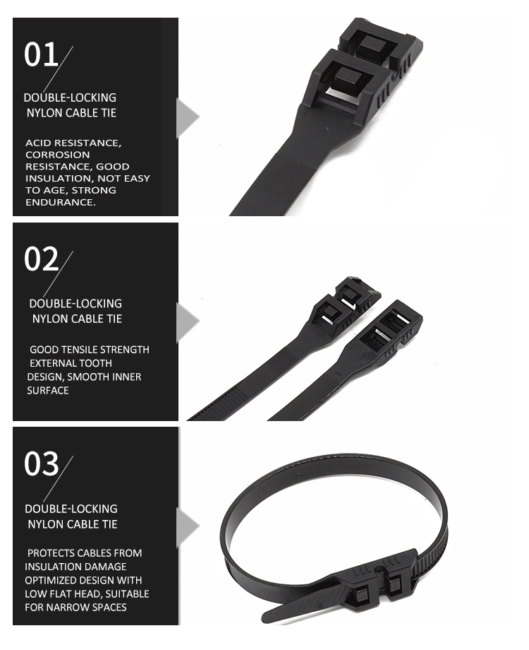 Industrial Usage Nylon66 Double Locking Cable Tie