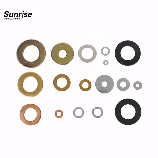 Carbon Steel Stainless Steel Flat Washers Plain Washers Spring Lock Washers Zinc Plated
