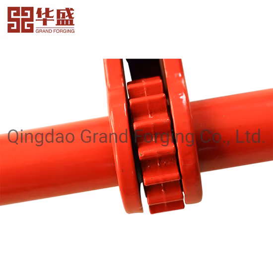 Hardware per l'attrezzatura G70 Hardware per l'attrezzatura standard Raccoglitore di carico con cricchetto a catena forgiata di tipo americano